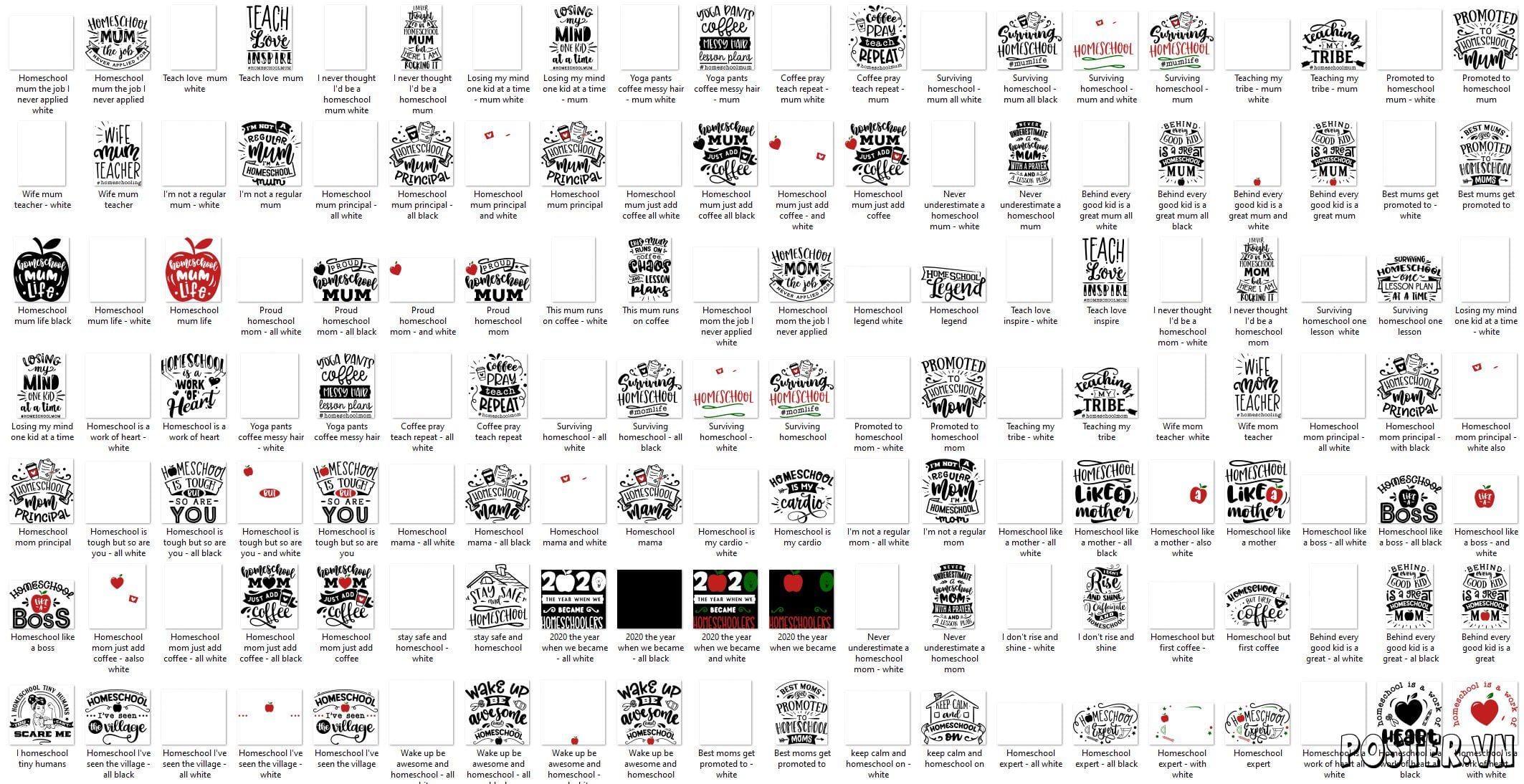 40+ Homeschool T-Shirt