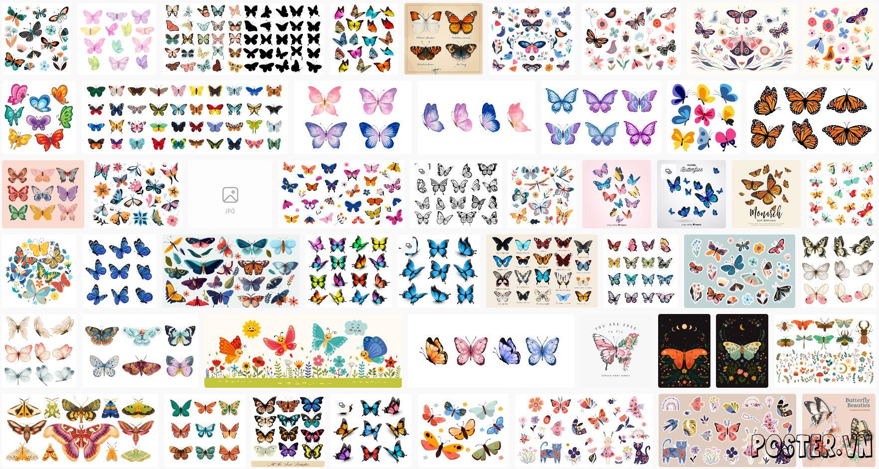 Butterfly Illustration Vectors