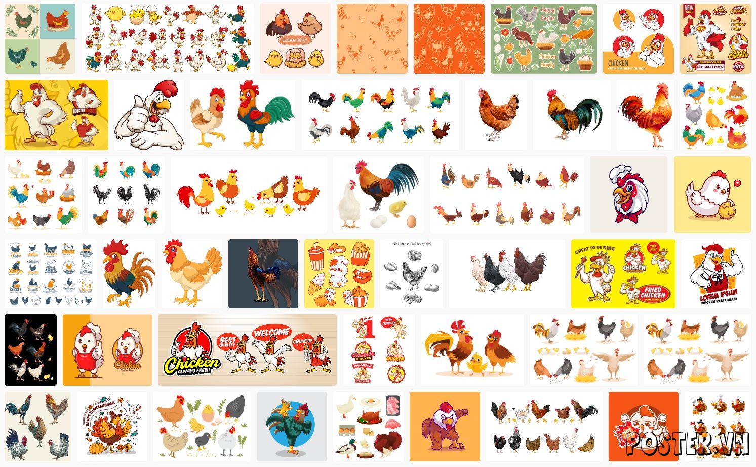 Chicken Illustration Vectors