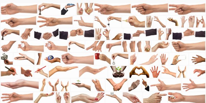 hands-and-arms-png