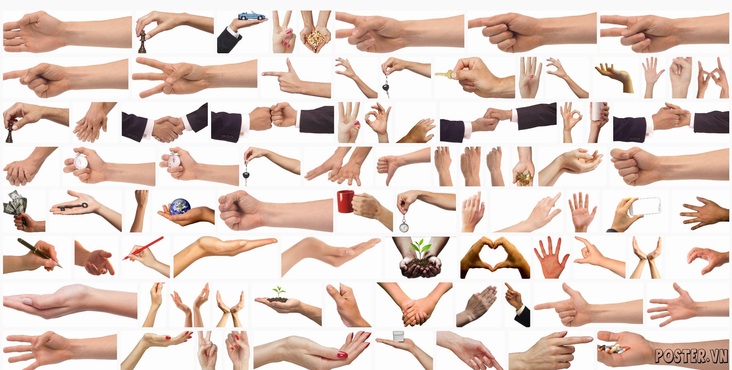 Hands and arms PNG