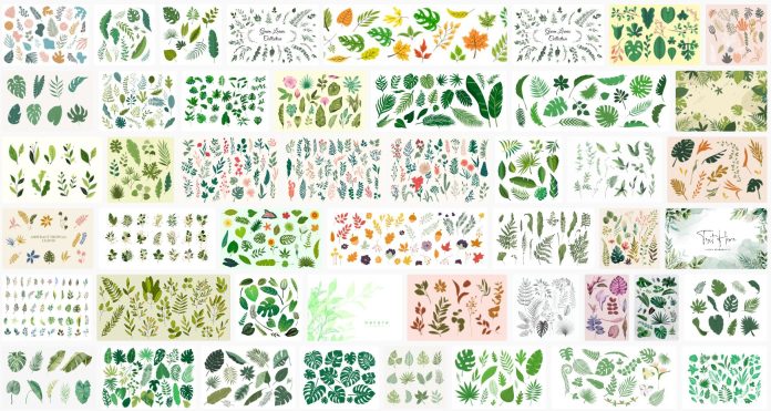 leaf-illustration-vectors