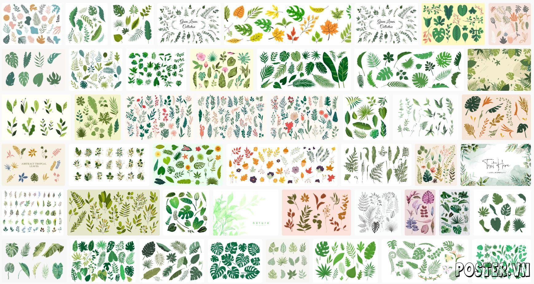 leaf-illustration-vectors