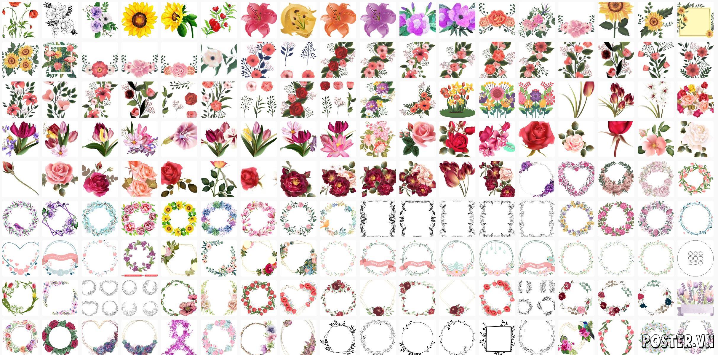 200+ Flowers – Các loài hoa file Corel