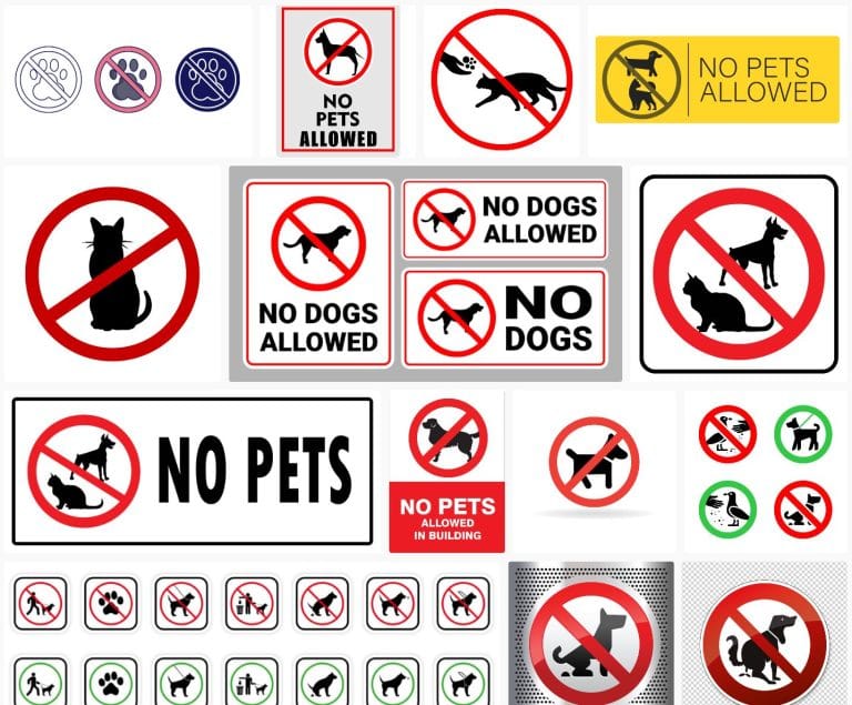 14-bang-hieu-cam-cho-meo