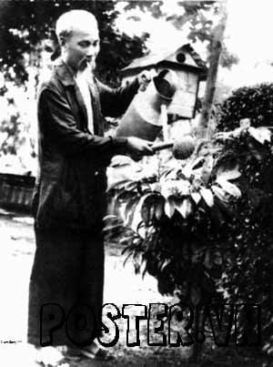 Ảnh Bác Hồ Chí Minh 2026