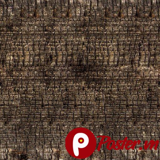 Ảnh nền vân gỗ tự nhiên