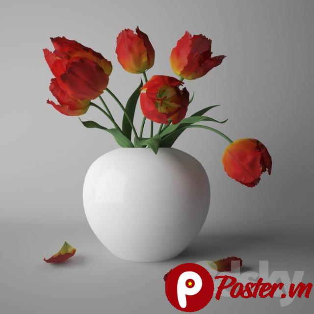 Bó hoa tulip đỏ cam tối giản trong bình trắng trên nền xám, mang lại cảm giác thanh lịch và tươi mới.