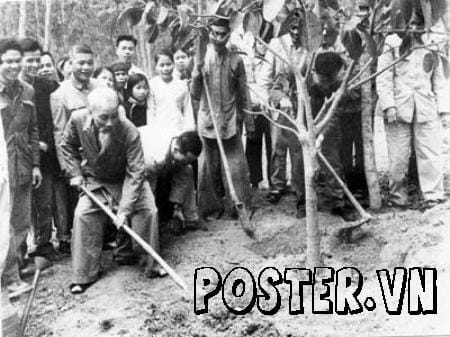 Bác Hồ trồng cây