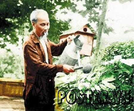 Bác Hồ trồng cây