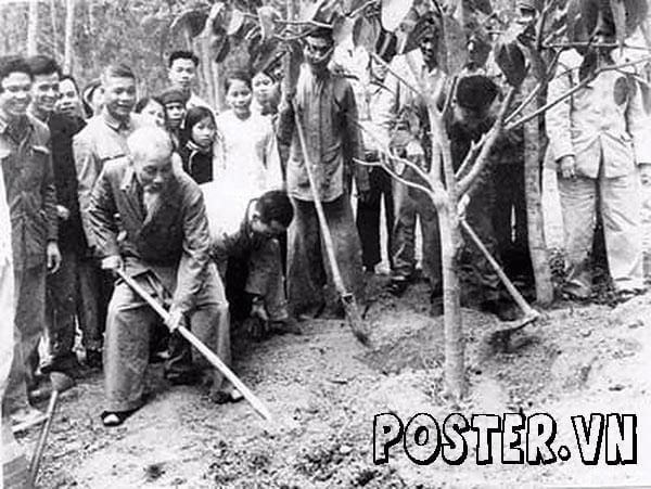 Bác Hồ trồng cây