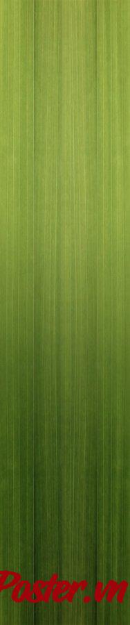 Background lá chuối xanh vector