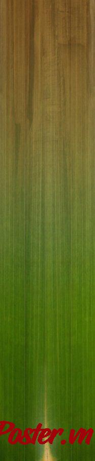 Background lá tre xanh tươi tự nhiên