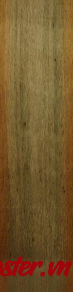 Background Tết 2025 Vector