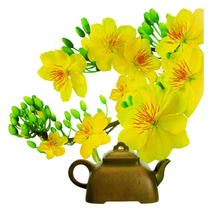 Cành mai vector Tết