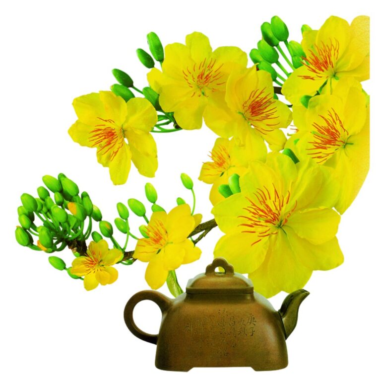 Cành mai vector Tết