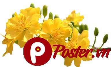 Cành mai vàng vector Tết