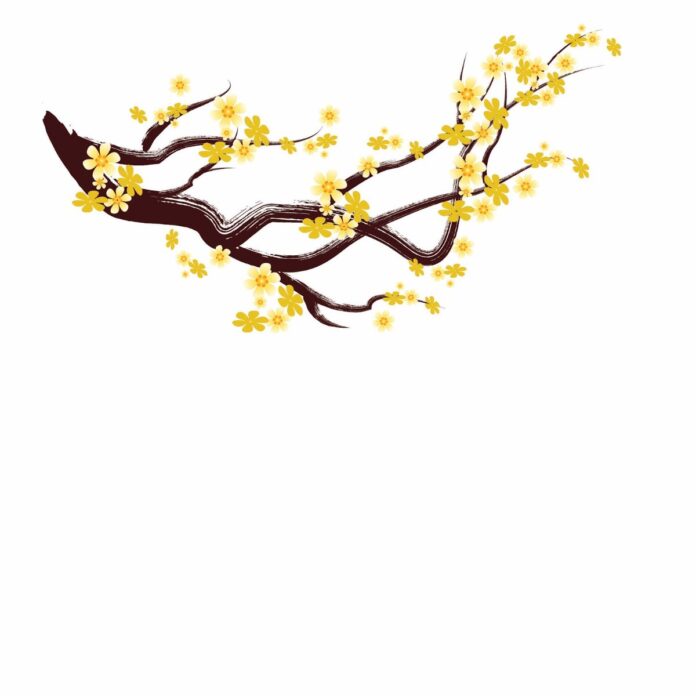 Cành mai vàng vector Tết 2025
