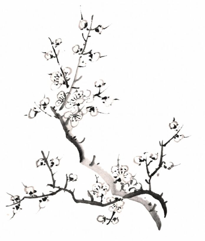 Cành mai vẽ thủy mặc