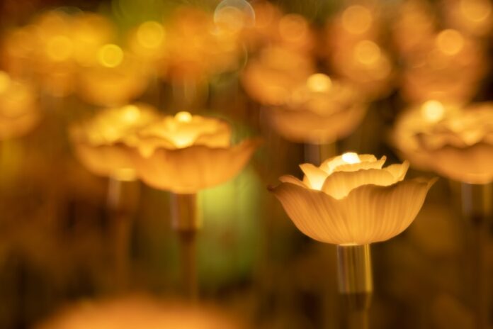 Đèn hoa trang trí lung linh