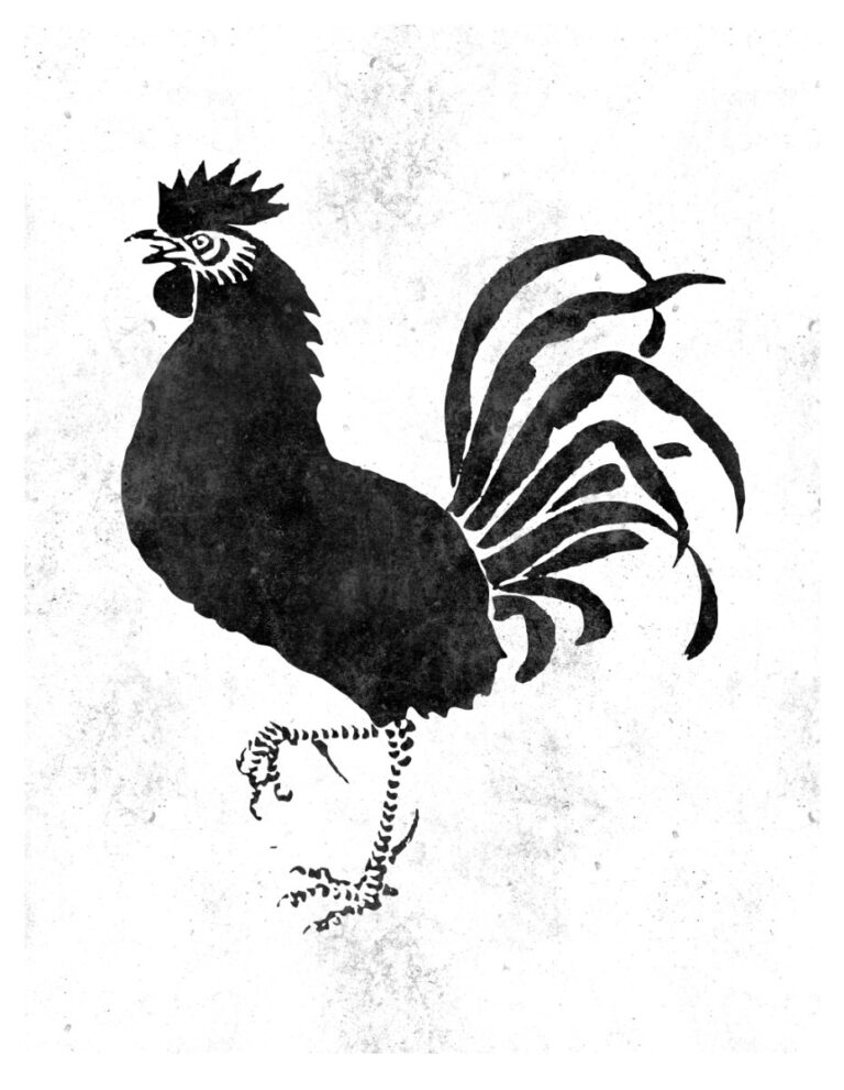 Gà trống đen trắng vector
