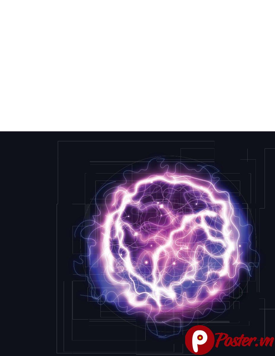 Hiệu ứng điện từ vector