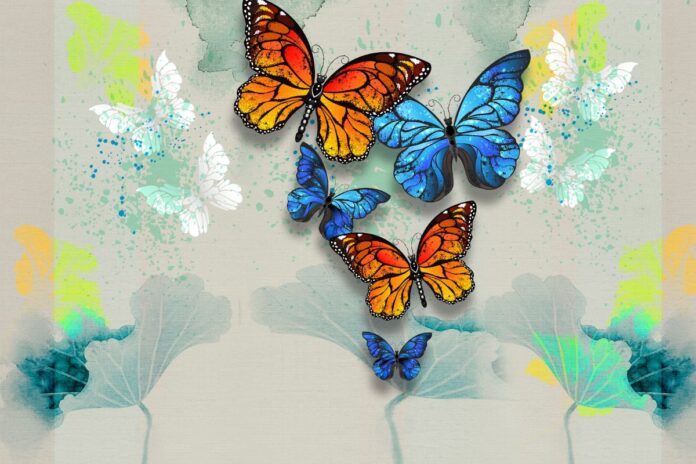 Hình ảnh bướm đẹp vector