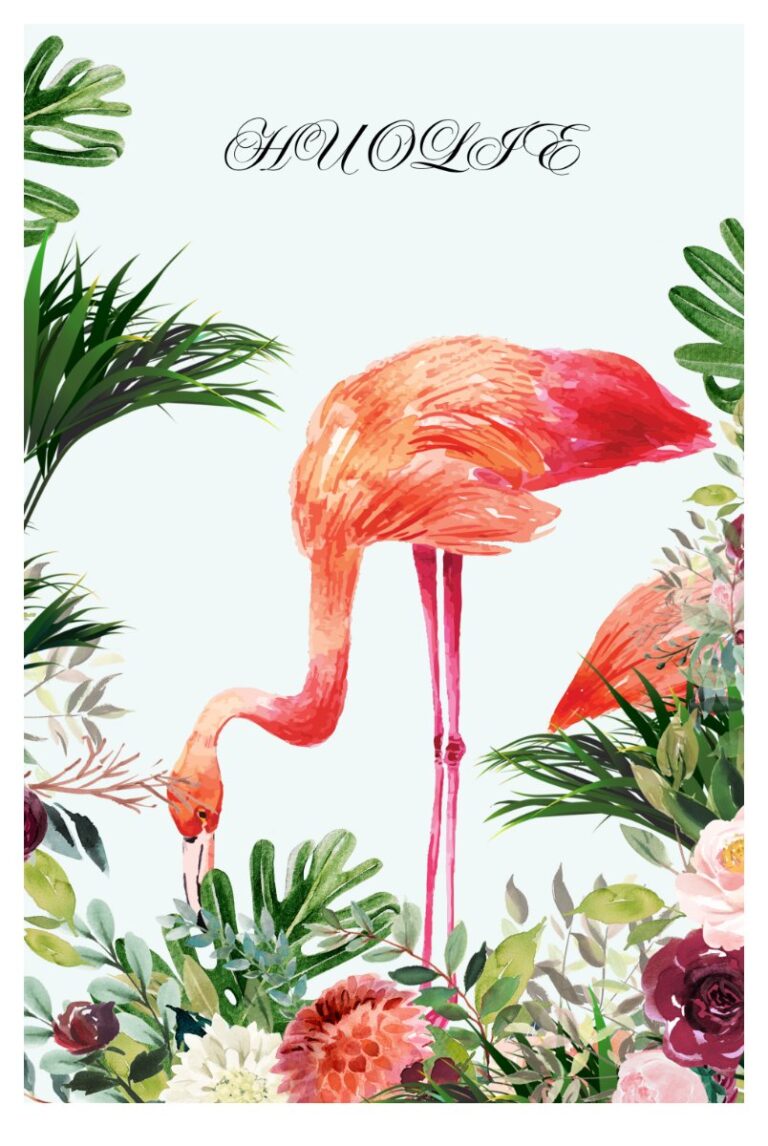 Hình ảnh chim hồng hạc nhiệt đới