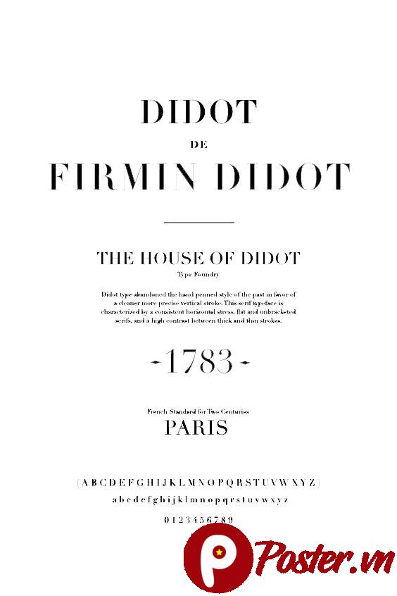 Banner Tết 2025 Vector