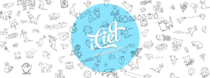 Mẫu cover Facebook mèo doodle