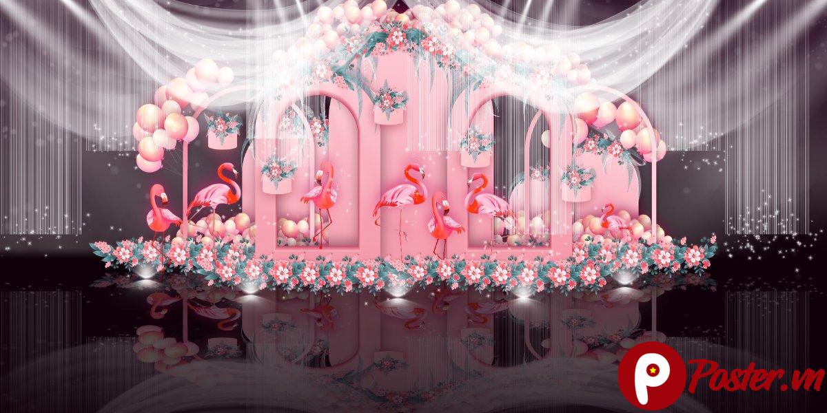 Phông cưới flamingo hồng