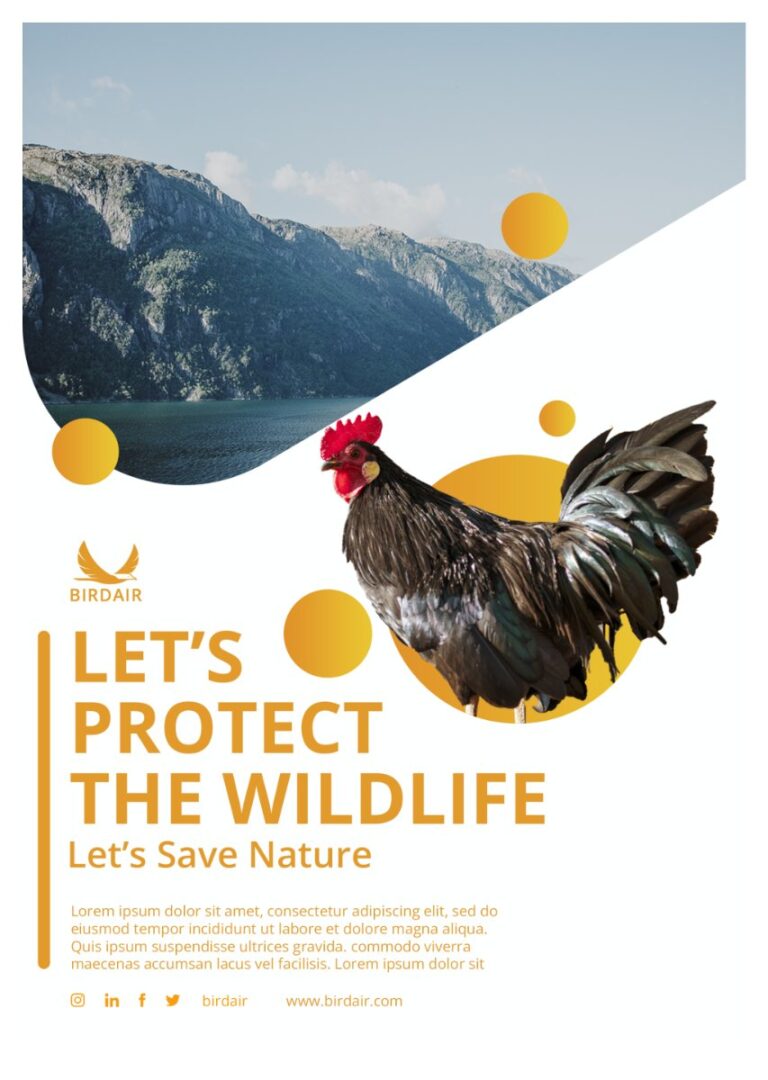 Poster bảo vệ động vật hoang dã