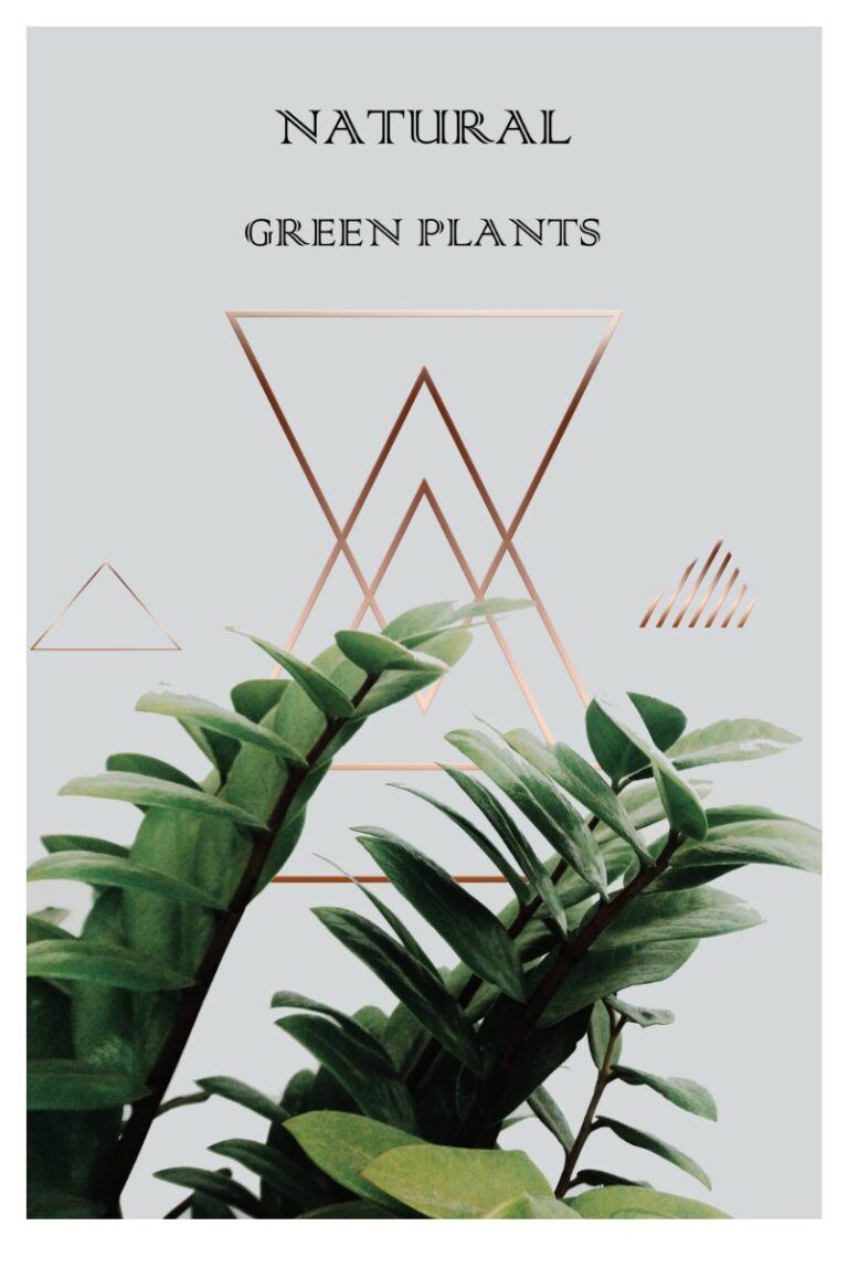 Poster cây xanh tối giản