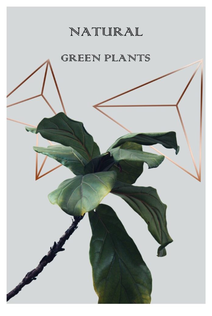 Poster cây xanh tự nhiên