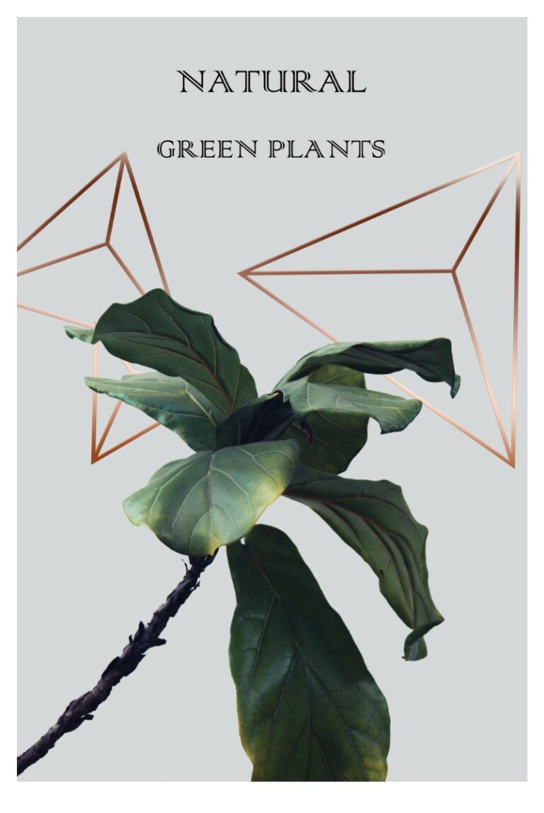 Poster cây xanh tự nhiên