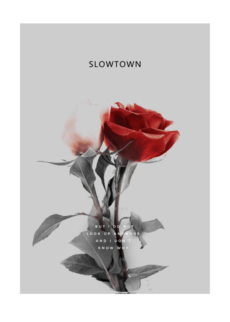 Poster Slowtown hoa hồng đỏ
