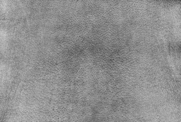 Texture da cá sấu xám
