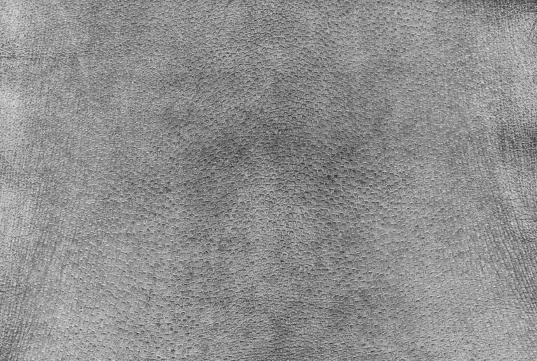 Texture da cá sấu xám