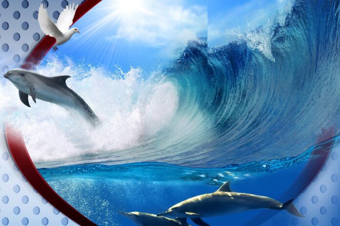 Mẫu tranh 3D đại dương cá heo và chim bồ câu đẹp sắc nét