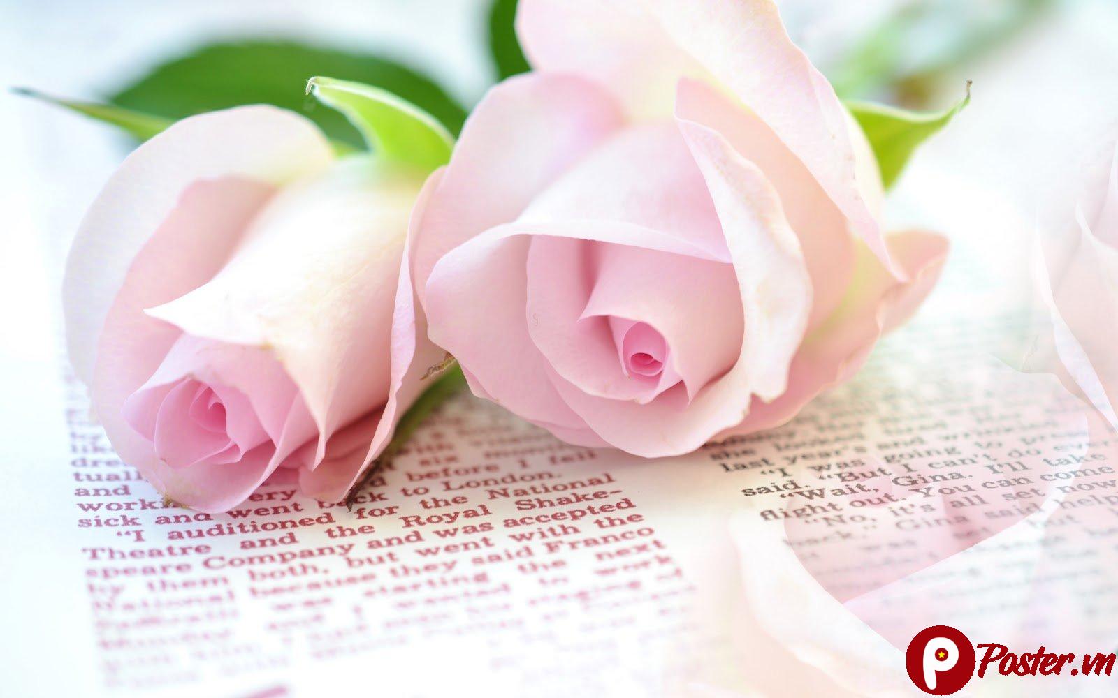 Tranh Đá Mắt Hổ Sang Trọng Cao Cấp - 1SmXod9ztU8MgGD7JH6EpfRtnWIZcynqM