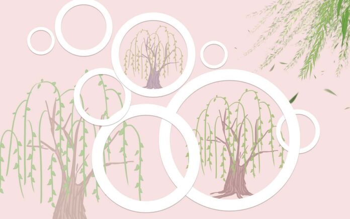 Tranh dán tường cây liễu hồng