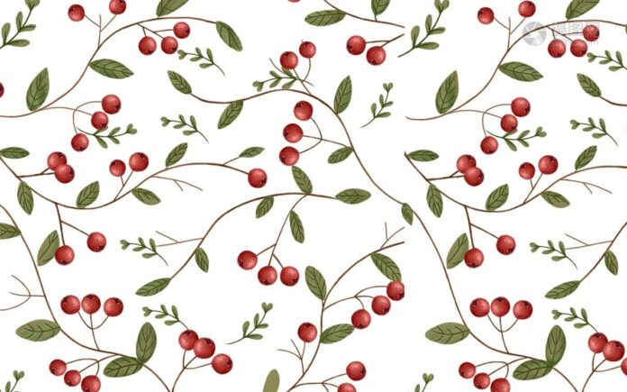 Tranh dán tường họa tiết quả đỏ