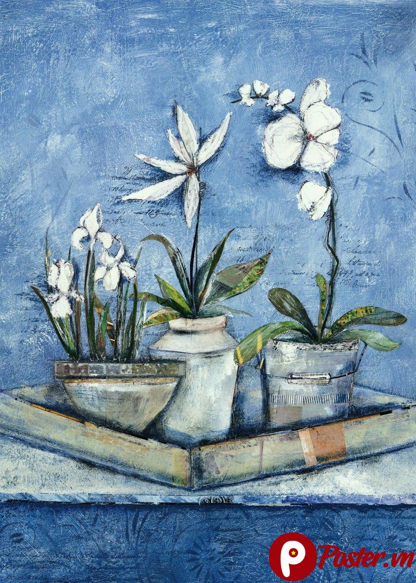 Tranh hoa lan trắng đẹp