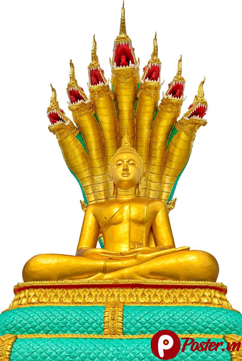 Tranh Phật giáo tượng Phật