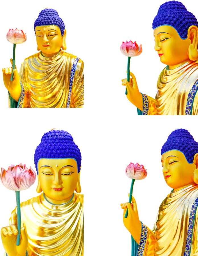 Tranh Phật Giáo Tượng Phật Vector