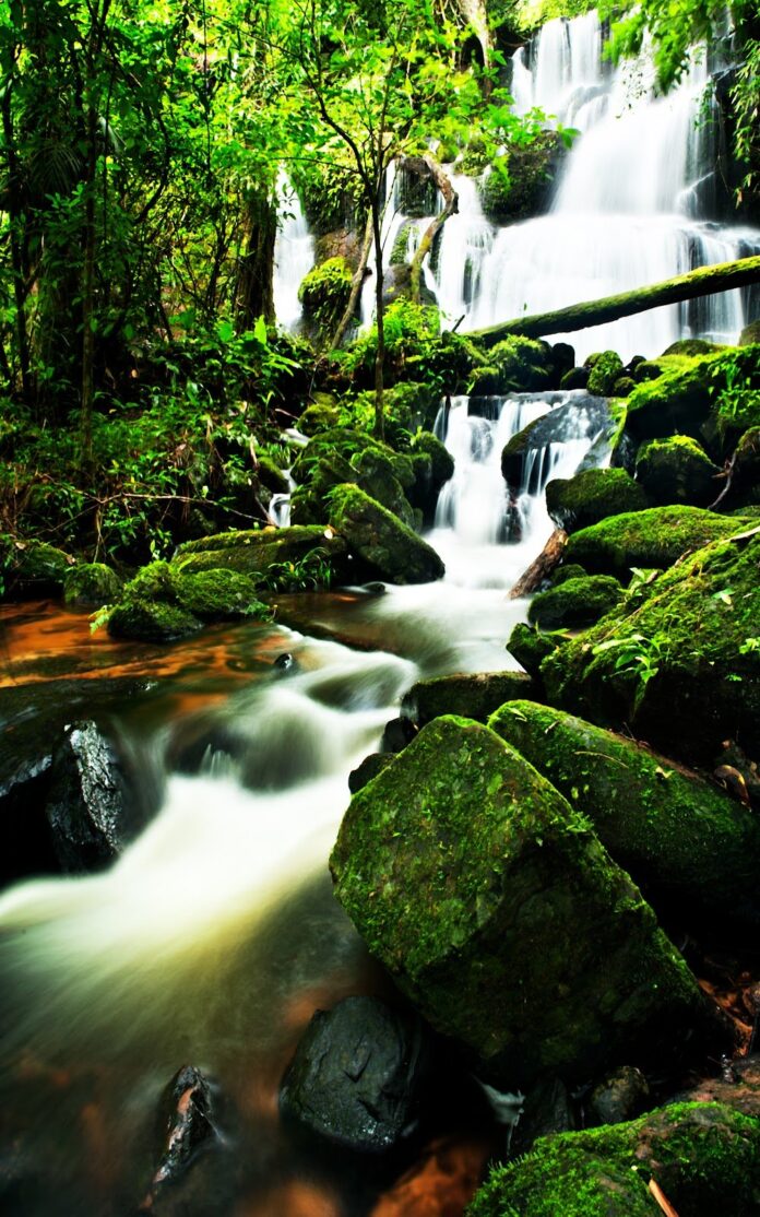 Tranh sơn thủy thác nước rêu xanh thiên nhiên hùng vĩ phơi sáng lâu