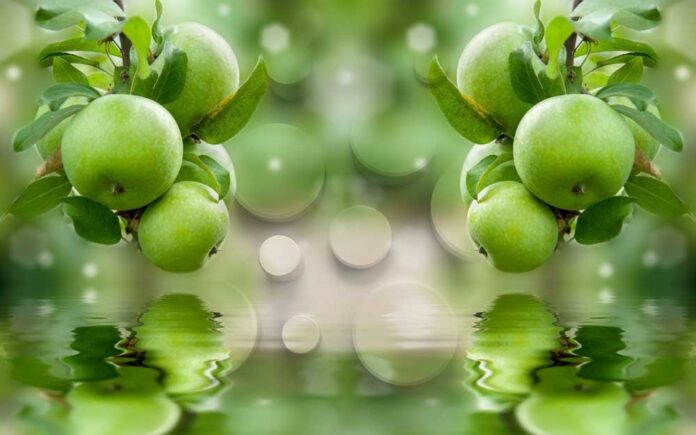 Tranh trang trí quán cafe táo xanh