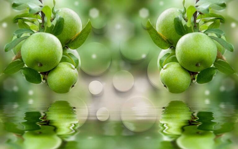 Tranh trang trí quán cafe táo xanh