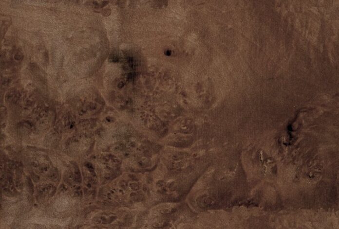 Vân gỗ óc chó tự nhiên