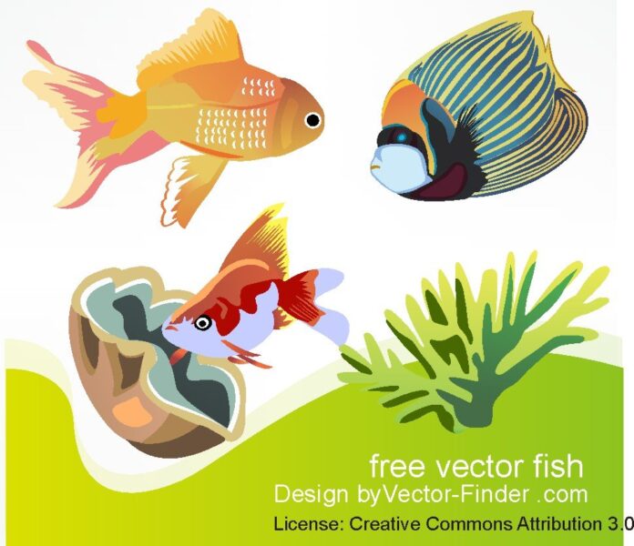 Vector cá biển đẹp